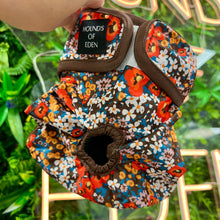 Load image into Gallery viewer, Retro Bloom – Reusable Dog Season & Hygiene Pants