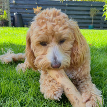 Load image into Gallery viewer, Natural Coffee Wood Dog Chews