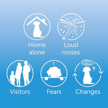 Load image into Gallery viewer, Adaptil Calm Home Diffuser Refill for Dogs – 30 Days