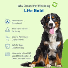 Load image into Gallery viewer, Life Gold for Dogs – Immune & Detox Support (59ml)