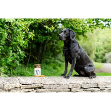 Load image into Gallery viewer, TurmerEase Joint Supplements for Dogs & Cats