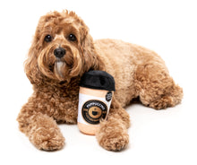 Load image into Gallery viewer, FuzzYard Barkrista Puppuccino Plush Dog Toy