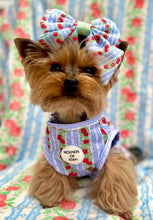 Load image into Gallery viewer, Eden's Orchard Dog Cooling Vest