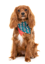 Load image into Gallery viewer, FuzzYard I Heart Candy Canes Dog Bow Tie & Bandana Set (2 Pack)