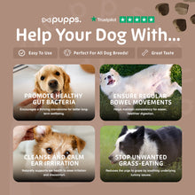 Load image into Gallery viewer, Pupps Pre & Probiotic Dog Treats – Digestive Health Support