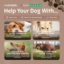Load image into Gallery viewer, Pupps Pre & Probiotic Dog Treats – Digestive Health Support