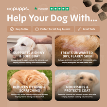 Load image into Gallery viewer, Skin & Coat Treats