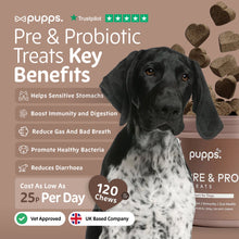 Load image into Gallery viewer, Pupps Pre & Probiotic Dog Treats – Digestive Health Support
