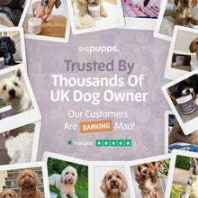 Load image into Gallery viewer, Itch Relief Treats