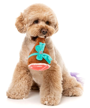 Load image into Gallery viewer, Cute Dog Playing With Fuzzyards Humble Han Holiday Dog Tot