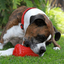 Load image into Gallery viewer, Rogz Yumz Treat & Chew Dog Toy – Red (Medium)