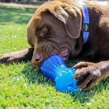 Load image into Gallery viewer, Rogz Yumz Treat & Chew Dog Toy – Blue (Medium)