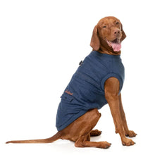 Load image into Gallery viewer, Dog sitting side-on wearing an indigo denim-style FuzzYard Kojima Dog Jacket with built-in harness rings.