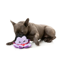 Load image into Gallery viewer, Dog playing with Fuzzyard Stumpy Dractopus Halloween toy, featuring a squeaker and cute monster design. Ideal for Halloween-themed fun.