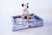 Load image into Gallery viewer, The Belgravia Orthopaedic Dog Sofa™ - Large