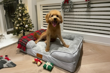 Load image into Gallery viewer, The Belgravia Orthopaedic Dog Sofa™ - Medium