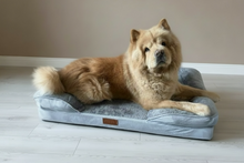 Load image into Gallery viewer, The Belgravia Orthopaedic Dog Sofa™ - Xl
