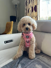 Load image into Gallery viewer, Peachy Hearts ‘Rugged Rover’ No-Pull Dog Harness – PupClub Couture
