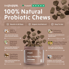 Load image into Gallery viewer, Pupps Pre & Probiotic Dog Treats – Digestive Health Support