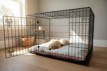 Load image into Gallery viewer, The Dolly Floral Collection – Double-Sided Pillow Bed & Crate Cushion