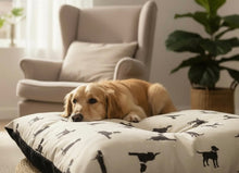 Load image into Gallery viewer, Walter Collection Double-Sided Pillow Dog Bed