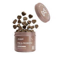 Load image into Gallery viewer, Pupps Pre & Probiotic Dog Treats – Digestive Health Support