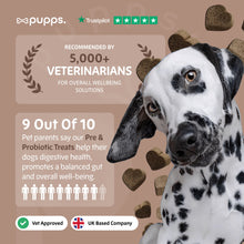 Load image into Gallery viewer, Pupps Pre & Probiotic Dog Treats – Digestive Health Support