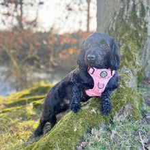 Load image into Gallery viewer, Peachy Hearts ‘Rugged Rover’ No-Pull Dog Harness – PupClub Couture