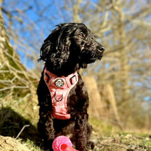 Load image into Gallery viewer, Peachy Hearts ‘Rugged Rover’ No-Pull Dog Harness – PupClub Couture