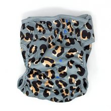 Load image into Gallery viewer, Steel Leopard – Reusable Dog Season & Hygiene Pants