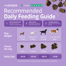 Load image into Gallery viewer, Calming Treats