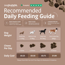 Load image into Gallery viewer, Pupps Pre & Probiotic Dog Treats – Digestive Health Support