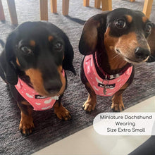 Load image into Gallery viewer, Peachy Hearts Adjustable Dog Harness – PupClub Couture