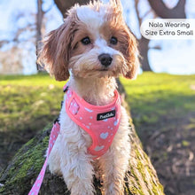 Load image into Gallery viewer, Peachy Hearts Adjustable Dog Harness – PupClub Couture