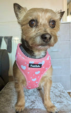Load image into Gallery viewer, Peachy Hearts Adjustable Dog Harness – PupClub Couture