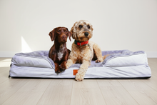 Load image into Gallery viewer, The Belgravia Orthopaedic Dog Sofa™ - Xl