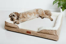 Load image into Gallery viewer, The Belgravia Orthopaedic Dog Sofa™ - Xl
