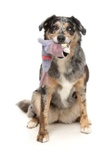 Load image into Gallery viewer, Peace Out Pigeon – The Yeetz Stuffing-Free Dog Toy by FuzzYard