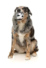 Load image into Gallery viewer, Run Along Raccoon – The Yeetz Stuffing-Free Dog Toy by FuzzYard