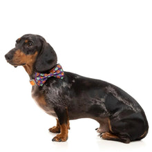 Load image into Gallery viewer, FuzzYard Be My Ghoul Pet Bowtie – Halloween Collar Accessory for Dogs & Cats