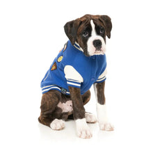 Load image into Gallery viewer, FuzzYard Letterman Dog Jacket – Retro Varsity Style Coat with Patches
