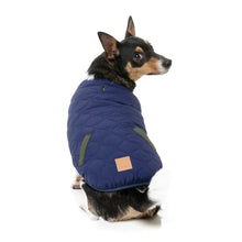 Load image into Gallery viewer, Dog wearing the navy quilted side of the FuzzYard Nara reversible jacket, shown from a side and back angle.