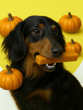 Load image into Gallery viewer, Pumpkin Yak Dog Chew