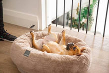 Load image into Gallery viewer, French Bulldog playing in Dreameazzzzy Chai dog bed by FuzzYard
