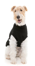 Load image into Gallery viewer, FuzzYard Allday 24 Dog Sweater - Black