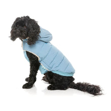 Load image into Gallery viewer, Dog sitting in a side view wearing the Fuzzyard Essentials blue puffer jacket with detachable hood.