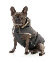 Load image into Gallery viewer, French Bulldog wearing the Fuzzyard Essentials charcoal puffer jacket with detachable hood while sitting facing forward.