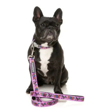 Load image into Gallery viewer, FuzzYard Fiesta Dog Lead