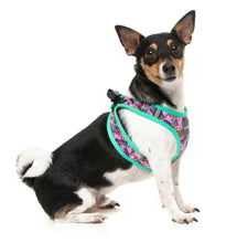 Load image into Gallery viewer, FuzzYard Fiesta Step In Dog Harness