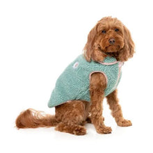 Load image into Gallery viewer, Dog sitting side on wearing the FuzzYard Hana Dog Jacket in sage, showing the soft sherpa texture and smiley flower patch.